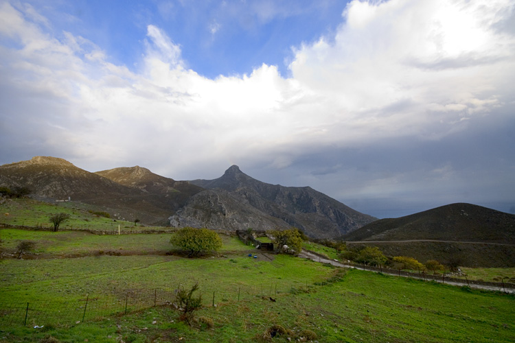 Les vers pturages de Kapetanania, sureveills de loin par le Mont Kofinas.